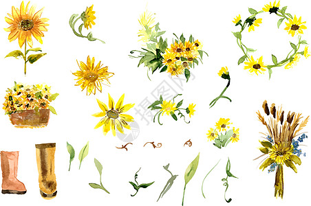黄向日葵的构成圆圈插图太阳农业花瓣叶子植物艺术橙子种子图片