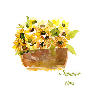 黄向日葵的构成农业插图园艺橙子艺术种子植物花瓣植物群花园图片