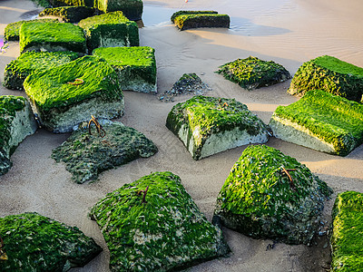 海洋附近的贝赫和石头海鸥日出海浪海岸地平线蓝色阳光海景旅游岩石图片