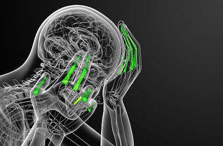 3d 表示人体长颈手的插图肌腱手腕风湿病手指手臂骨骼指骨方阵背景图片