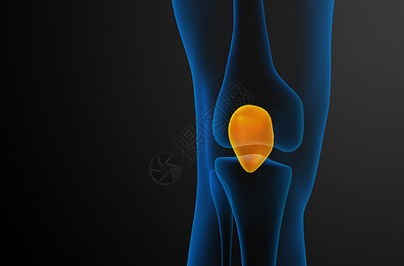 3d 提供胸骨的医学插图x光解剖学膝盖手术肌腱腓骨软骨胫骨医疗疼痛图片