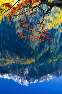 Jiuzhaigou观光场镜像湖天空水池地标池塘天堂旅游公园蓝色森林镜子图片