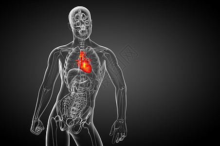 3d为人类心脏的医学插图病人医疗手术解剖学外科心脏病学背景图片