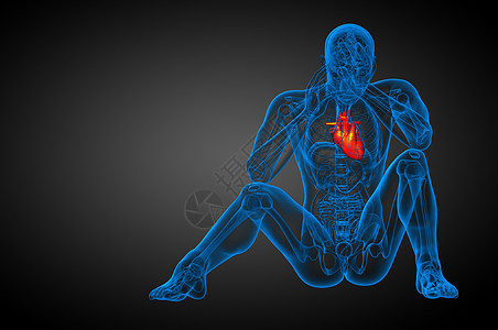 3d为人类心脏的医学插图外科心脏病学手术病人解剖学医疗背景图片