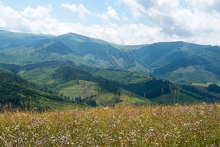 乌克兰喀尔巴阡山脉夏季地貌针叶旅行地平线旅游农村牧场太阳场地阴影荒野图片