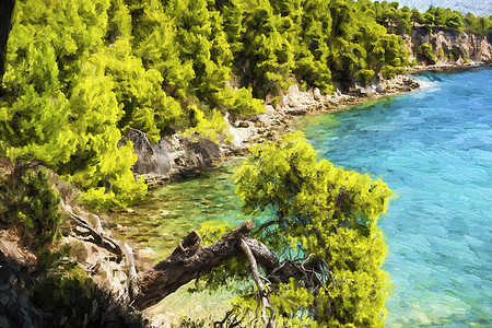 希腊Alonissos的洛基海滩     油漆效应图片