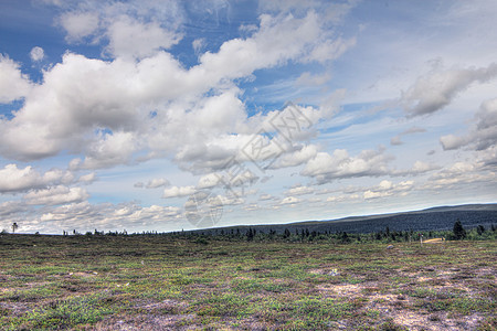 Tundra 景观树木国家地面晴天地平线公园全景地形天空爬坡图片