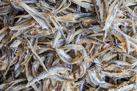 干细小鱼熟鱼销售食物市场银色干货海鲜背景图片