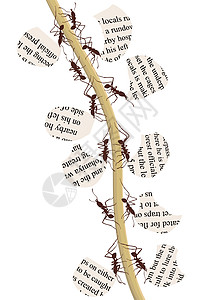 纸张回收利用蚂蚁图片
