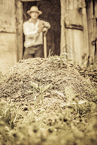 农民在马粪中拖着马粪摊位肥料棕褐色小农户附属工人谷仓乡村雇农牛棚图片