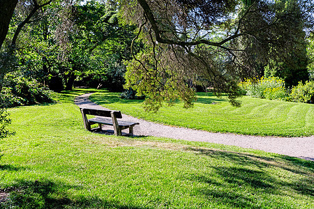 法官园艺植物学长椅花园美丽衬套植物群植物公园绿色图片