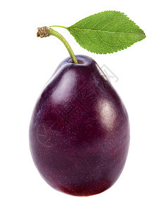 加健康白色食物紫色甜点叶子团体水果绿色浆果图片