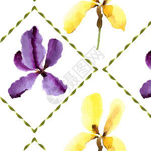 水彩的Iris 可用作贺卡邀请函插图蓝色横幅婚礼花园花瓣叶子植物艺术图片