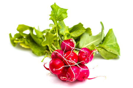 一群新鲜红萝卜 白色背景的绿色顶部被隔离萝卜健康农业食物沙拉叶子团体烹饪蔬菜植物图片