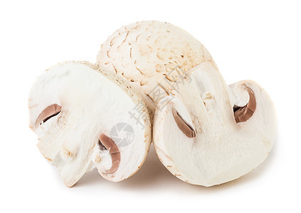 新鲜蘑菇营养食物植物菌类库存团体工作室蔬菜馅饼美食图片
