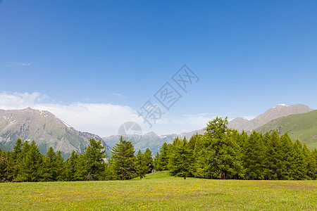 意大利阿尔卑斯山环境牧场森林场地天空农村松树旅行风景植物图片