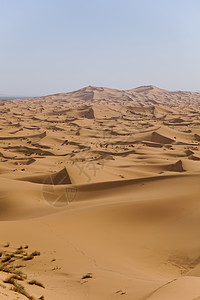 马罗科 梅尔祖加和杜内斯的沙沙漠探险家寂寞黄色口渴阴影红色沙丘全景太阳干旱图片