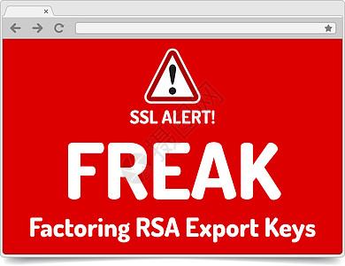 FRATEK  保理RSA出口密钥安全简单警告 o格式软件攻击浏览器网页缺陷漏洞冒险互联网证书图片