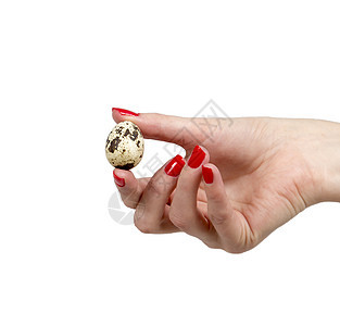 女性手握Quail Egg图片