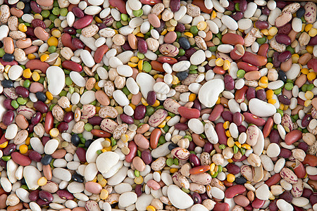 15种各类豆类和豆类背景图片