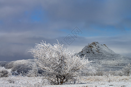 冬季风景高山牧场山脉风光雪树植物雪堆下雪蓝色背景图片