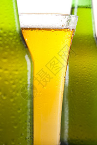 喝着啤酒的死寂生活 充满活力的烈酒主题草稿饮料背光静物酒精金子液体啤酒厂酒馆庆典图片