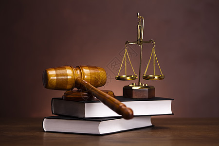 法律 法典和司法范围立法惩罚法官合法性系统法制诉讼律师法院木头图片