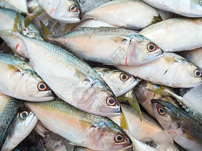 市场上的麦氏鱼熟鱼获量银色海鲜鲭鱼图片