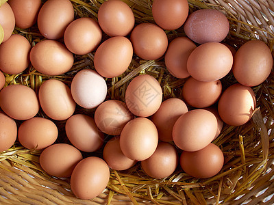 新鲜有机棕色鸡蛋农业早餐健康乡村母鸡杂货蛋壳家禽市场干草图片