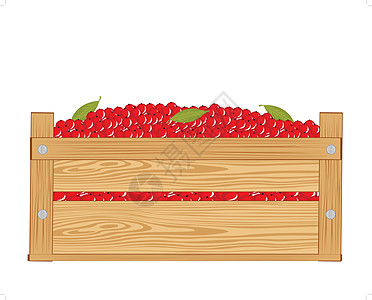 含有红莓的方框人心甜点养分花园白色果味宏观红色盒子食物图片