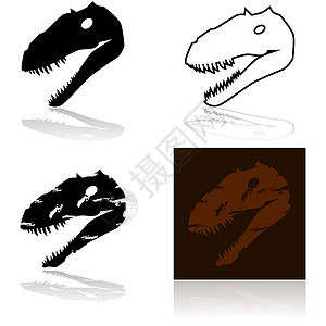 恐龙头绘画灭绝黑色插图博物馆考古学坡度人工制品化石动物群图片
