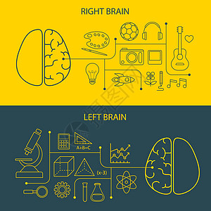 左脑和右脑功能概念图片