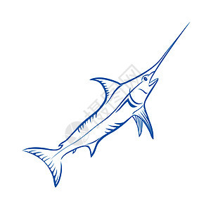 蓝马林鱼插图白色蓝色旗鱼幸福草图荒野跳跃背景图片