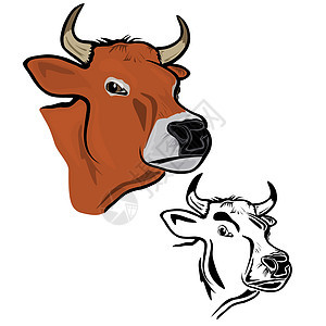 牛头生活乡村黑色农民皮肤哺乳动物绘画艺术家畜草图图片
