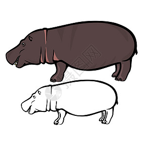希波河马艺术野生动物绘画脊椎动物插图水生动物食草奶牛图片