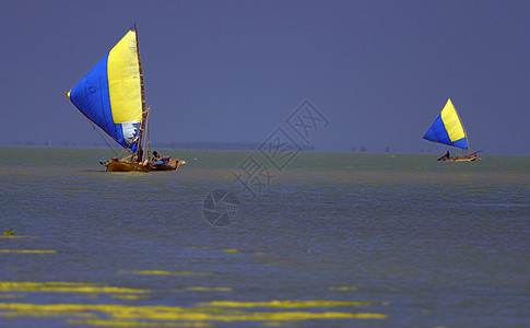 渔民热带青色天空渔夫太阳金子反射钓鱼爱好地平线图片