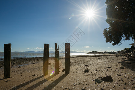 塔拉鲁海滩 泰晤士河 科罗曼德尔帖子海滩日志两极阳光图片
