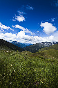 阿尔卑斯山泉 自然多彩的音调季节性花朵乡村蓝色季节草地风景远景地面天空图片