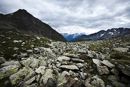 阿尔卑斯山泉 自然多彩的音调风景草地乡村蓝色地面季节性远景季节天空花朵图片