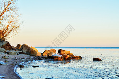 海滨海岸枝条海岸线支撑森林旅行木头晴天悬崖海景温泉图片