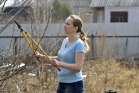 在一个花园里的女人 用长手割断了树枝园林树木分支机构村庄工具园艺修枝女孩长柄图片