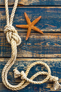 海背景 有海星和海绳木材旅行贝壳横幅框架贝类海洋星星蓝色剥离图片