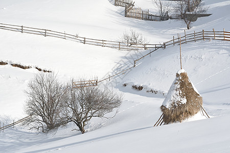 冬山的黑斯达克图片