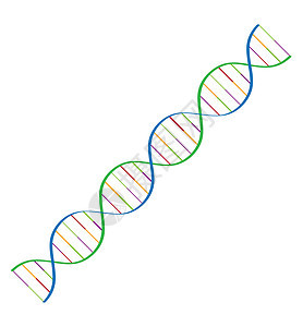 dna螺旋背景图片