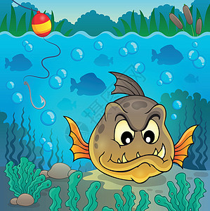 Piranha鱼水下专题4背景图片