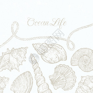 矢量背景 手绘海壳和绳子图片