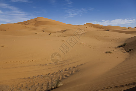 马罗科 梅尔祖加和杜内斯的沙沙漠勘探橙子寂寞阴影干旱沙丘探险家红色沙漠太阳图片