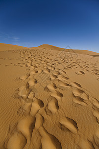 马罗科 梅尔祖加和杜内斯的沙沙漠太阳沙漠探险家寂寞沙丘干旱红色勘探阴影黄色图片