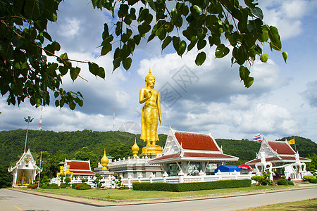 buddha 不丹布丁冥想信仰宗教崇拜雕塑橙子沉思神格神性佛教徒图片