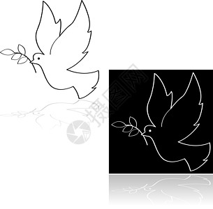 和平鸽绘画坡度插图反射黑色动物动物群卡通片白色背景图片
